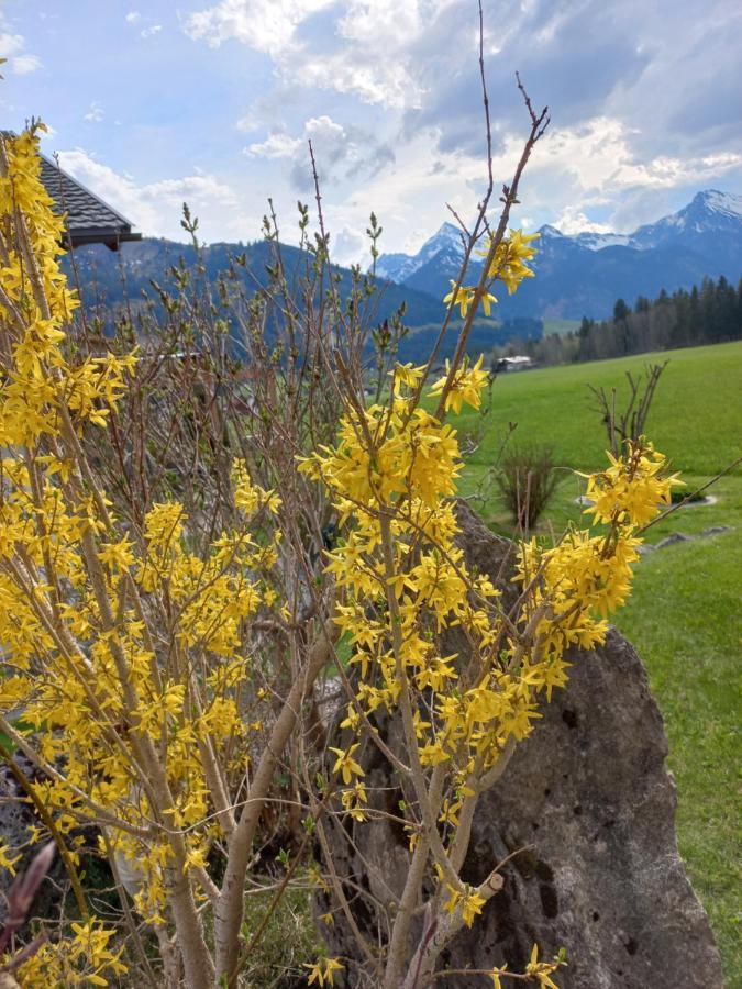 Am Schwand Grän Exterior foto