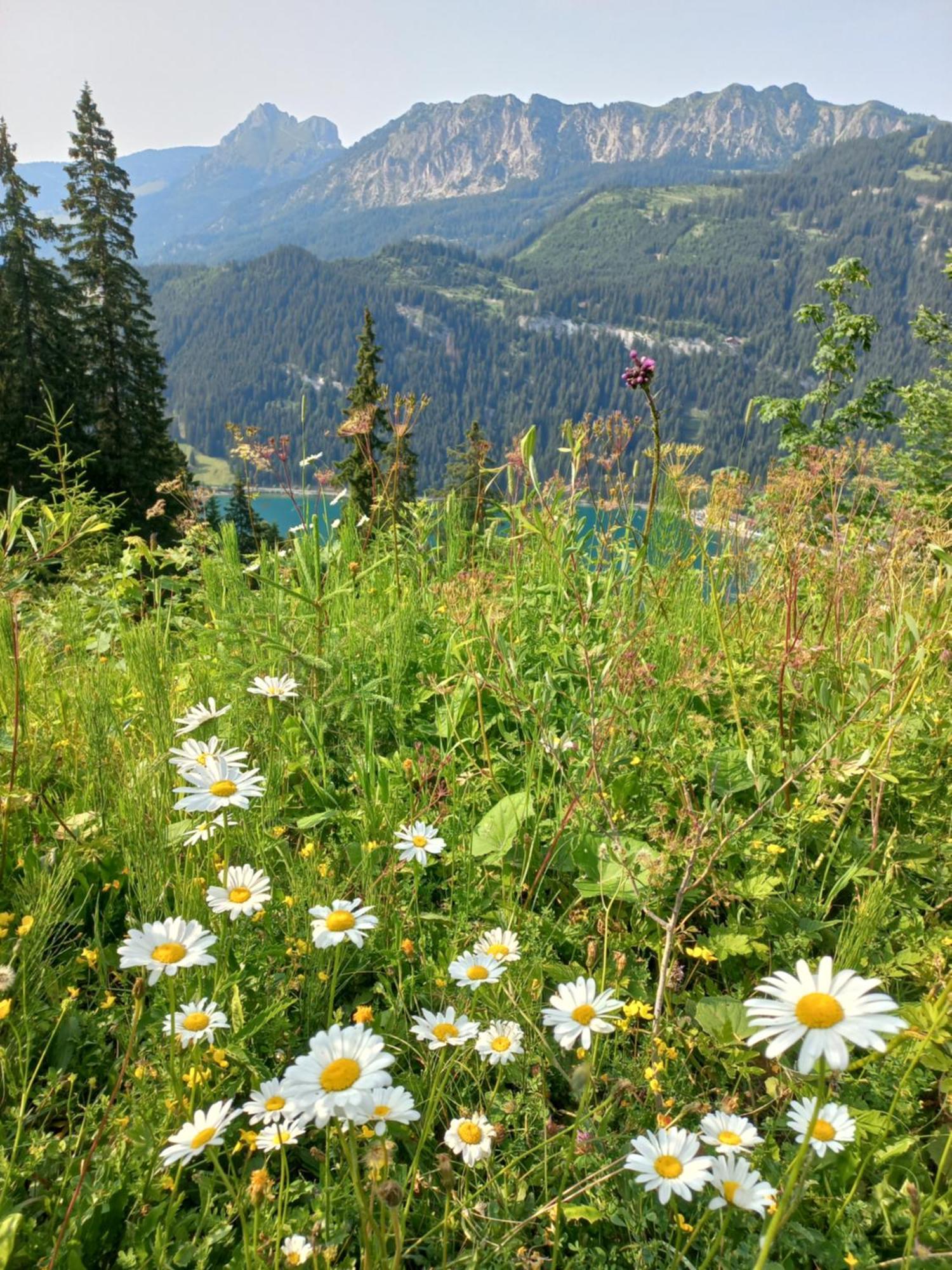 Am Schwand Grän Exterior foto